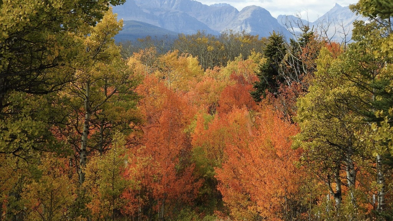 Photo of Outdoor in Babb