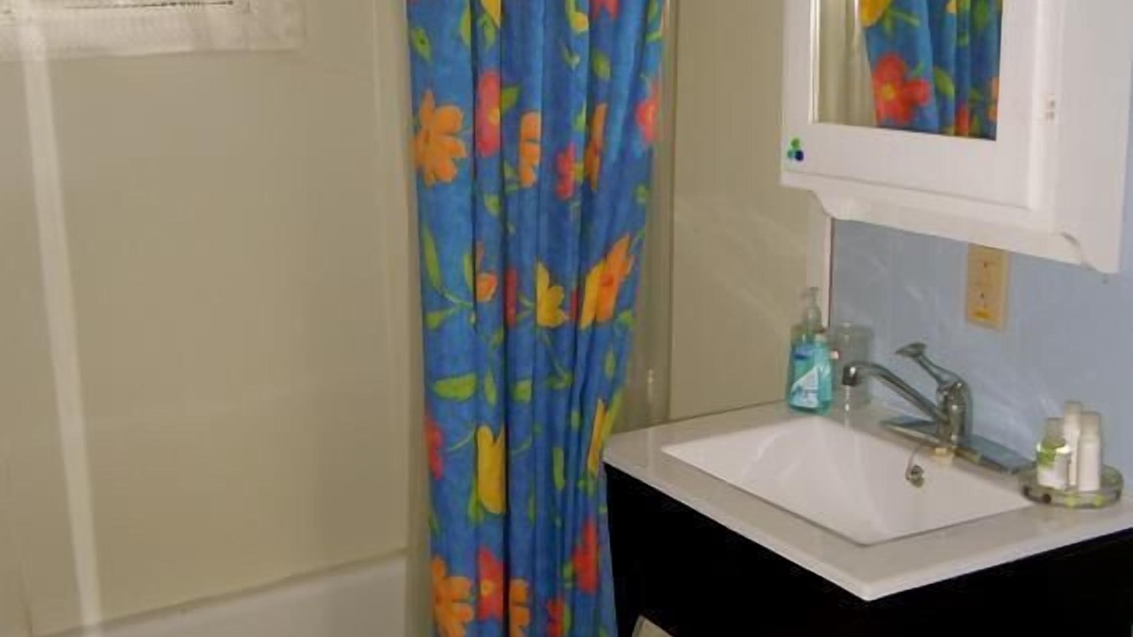 Photo of Bathroom in Iroquois