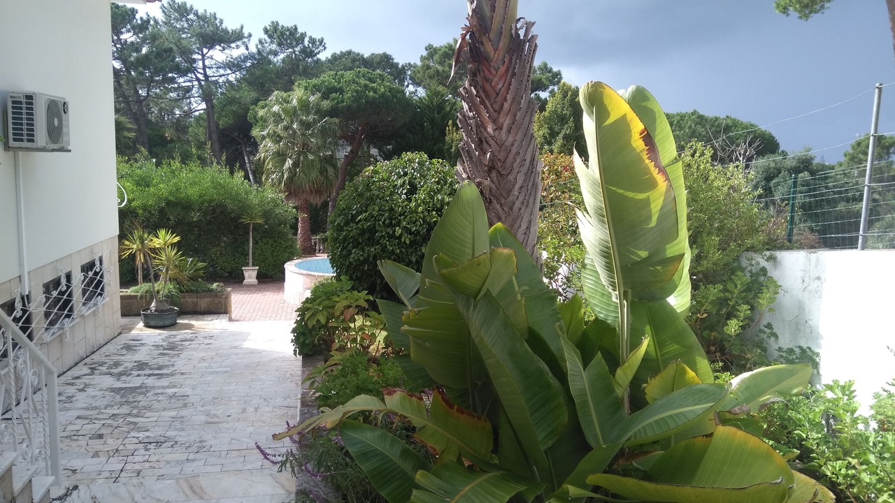 Photo of Outdoor in Praia das Macas