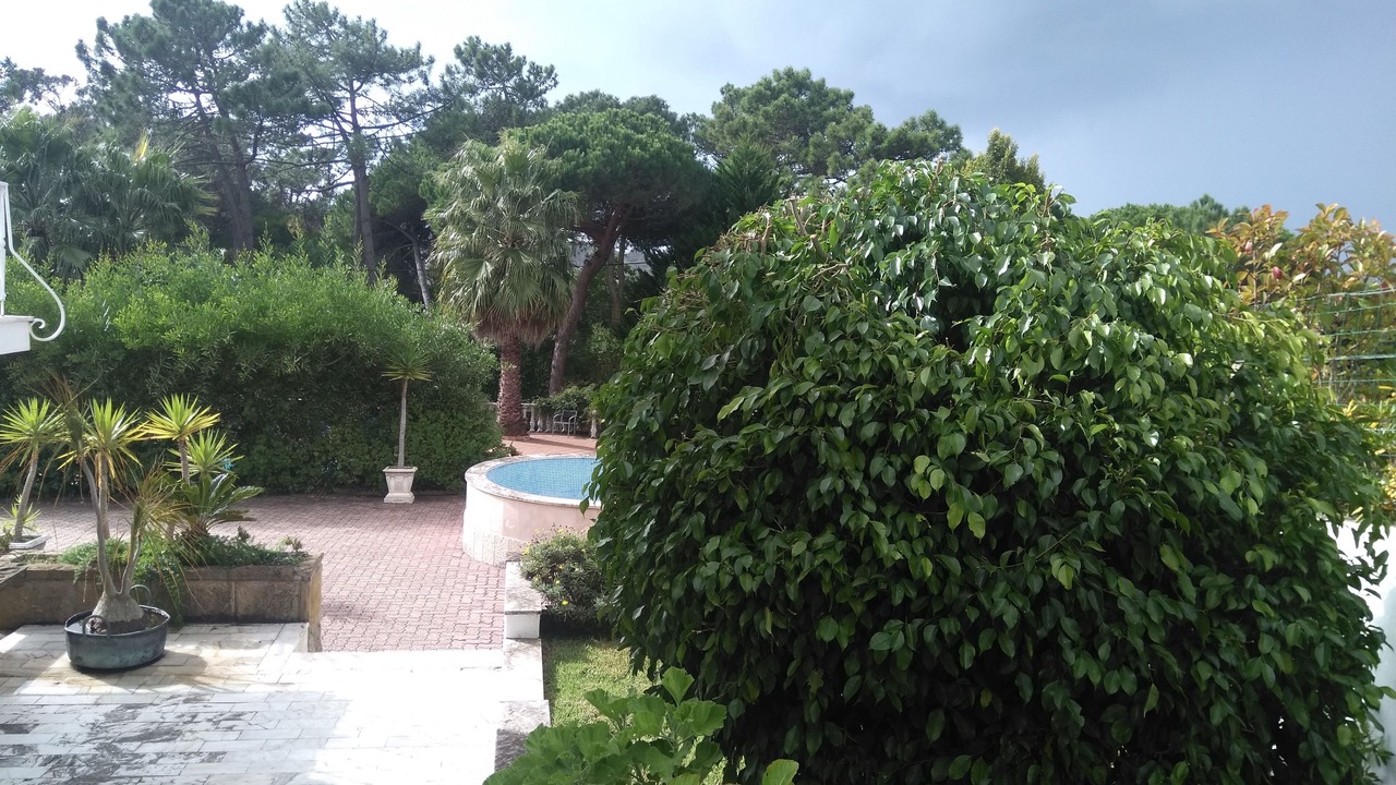 Photo of Outdoor in Praia das Macas