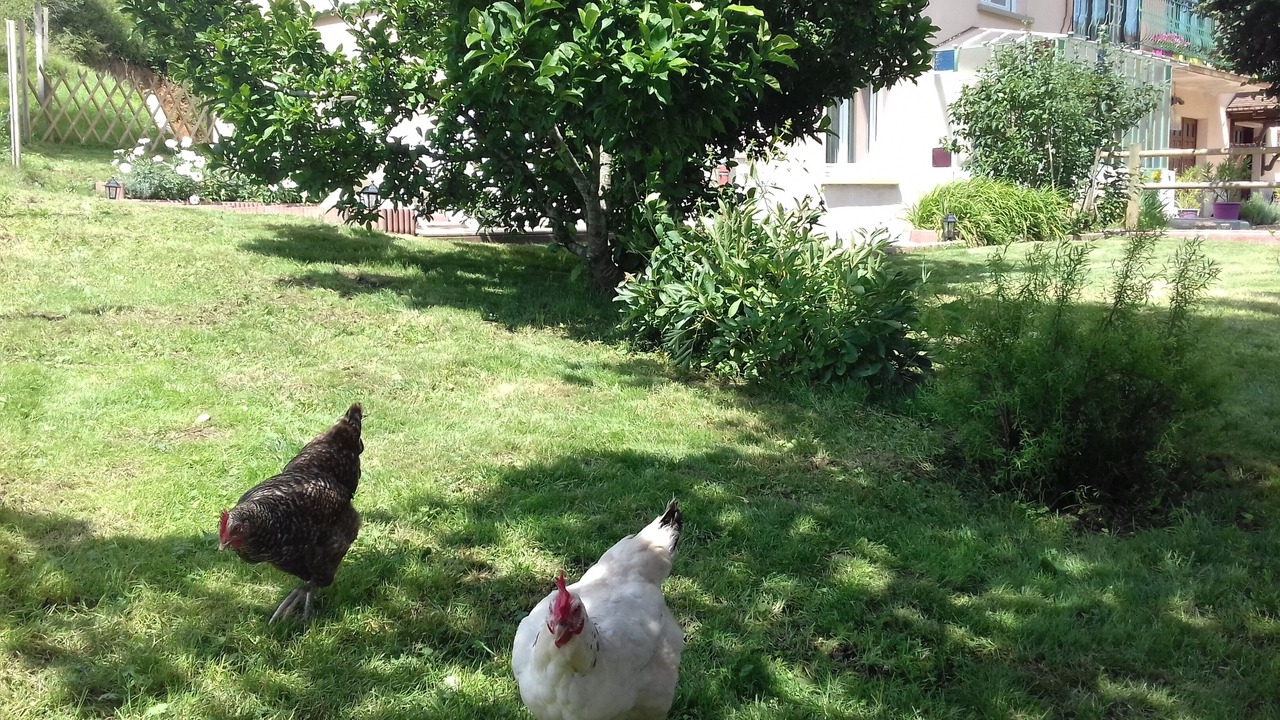 Photo of Outdoor in Ronchamp
