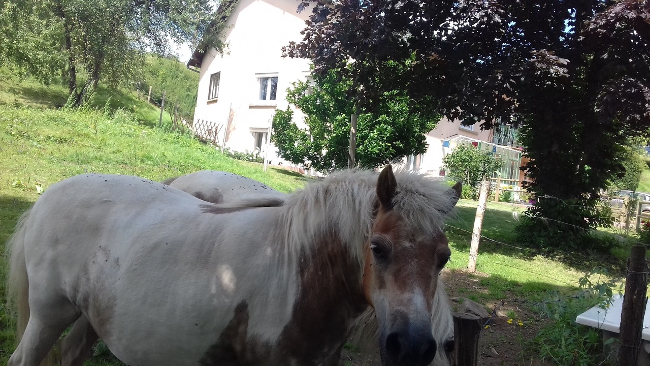 Photo of Outdoor in Ronchamp