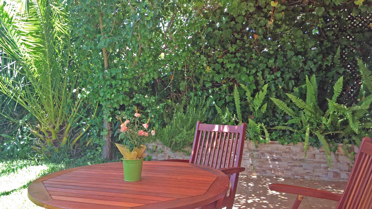 Photo of Outdoor in Islantilla
