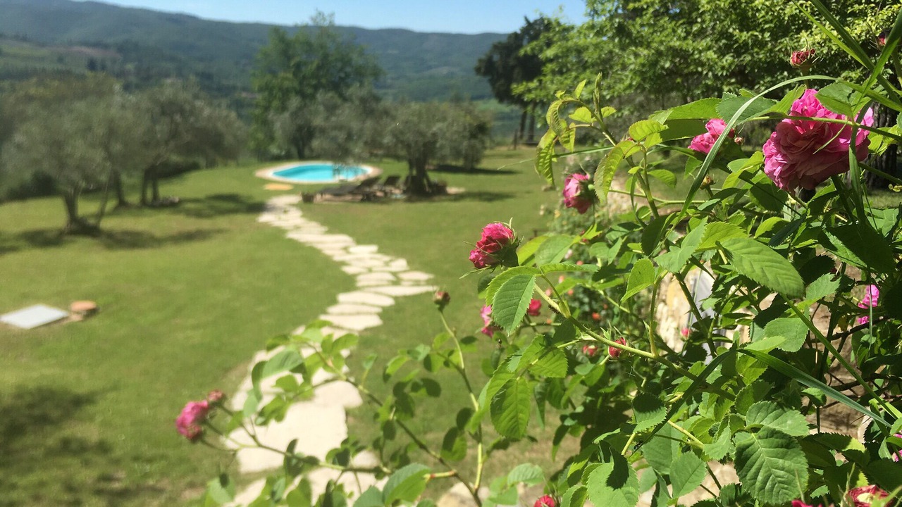 Photo of Outdoor in Greve in Chianti