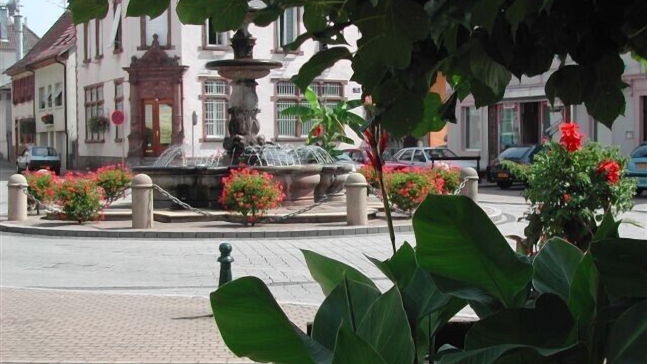 Photo of Outdoor in Masevaux
