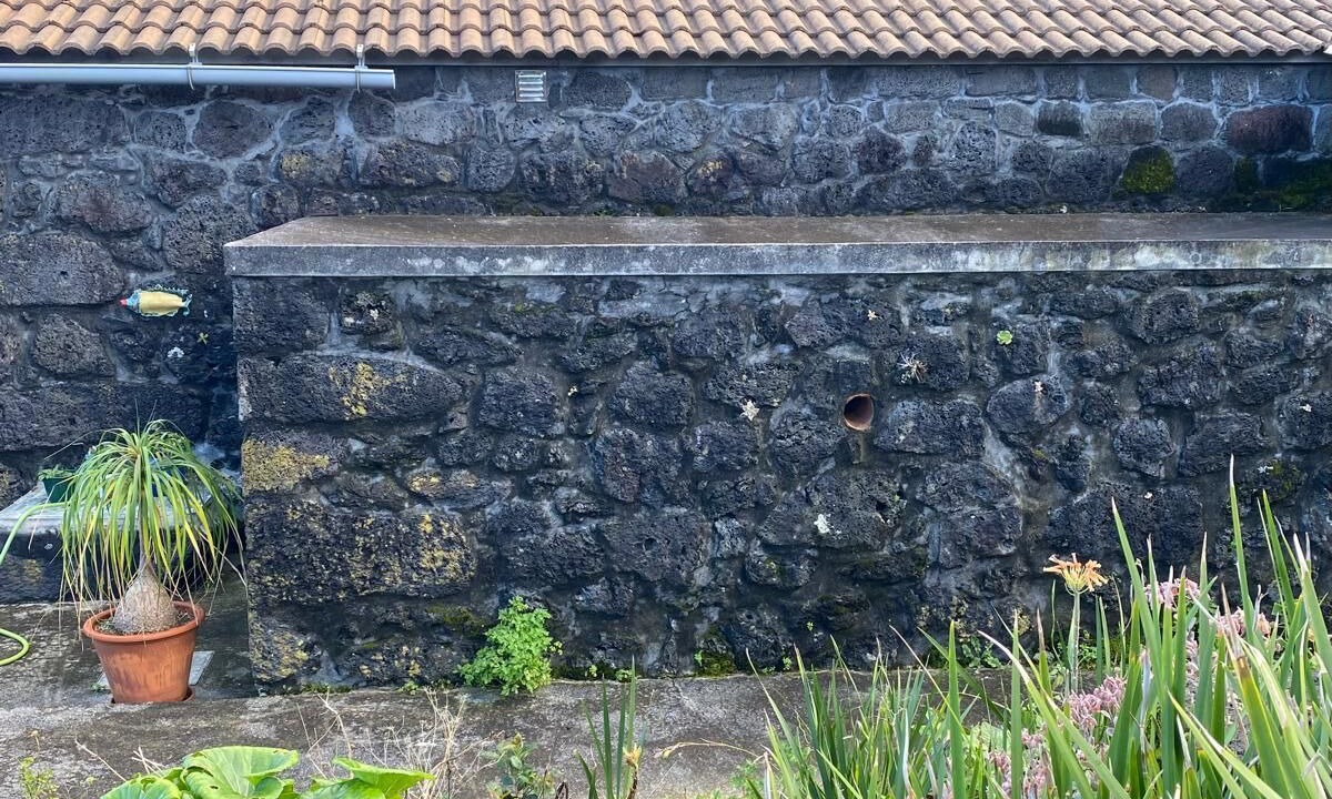 Photo of Others in Santo Amaro