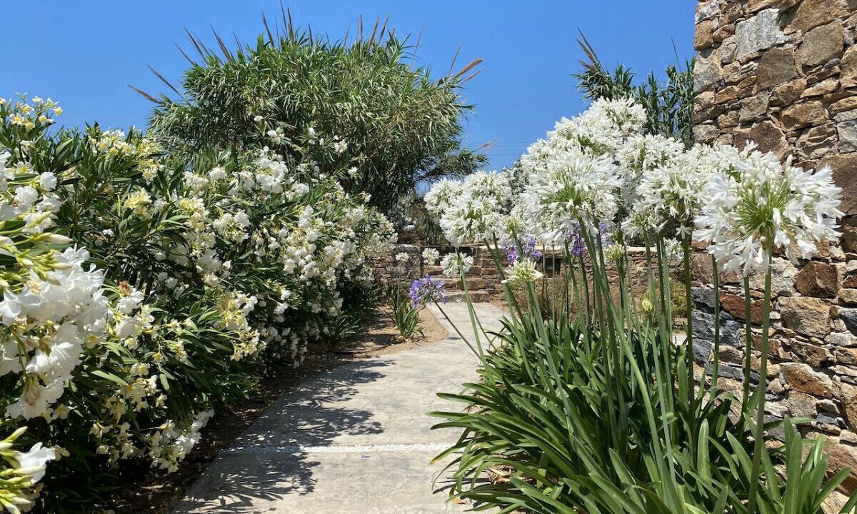 Photo of Outdoor in Plaka