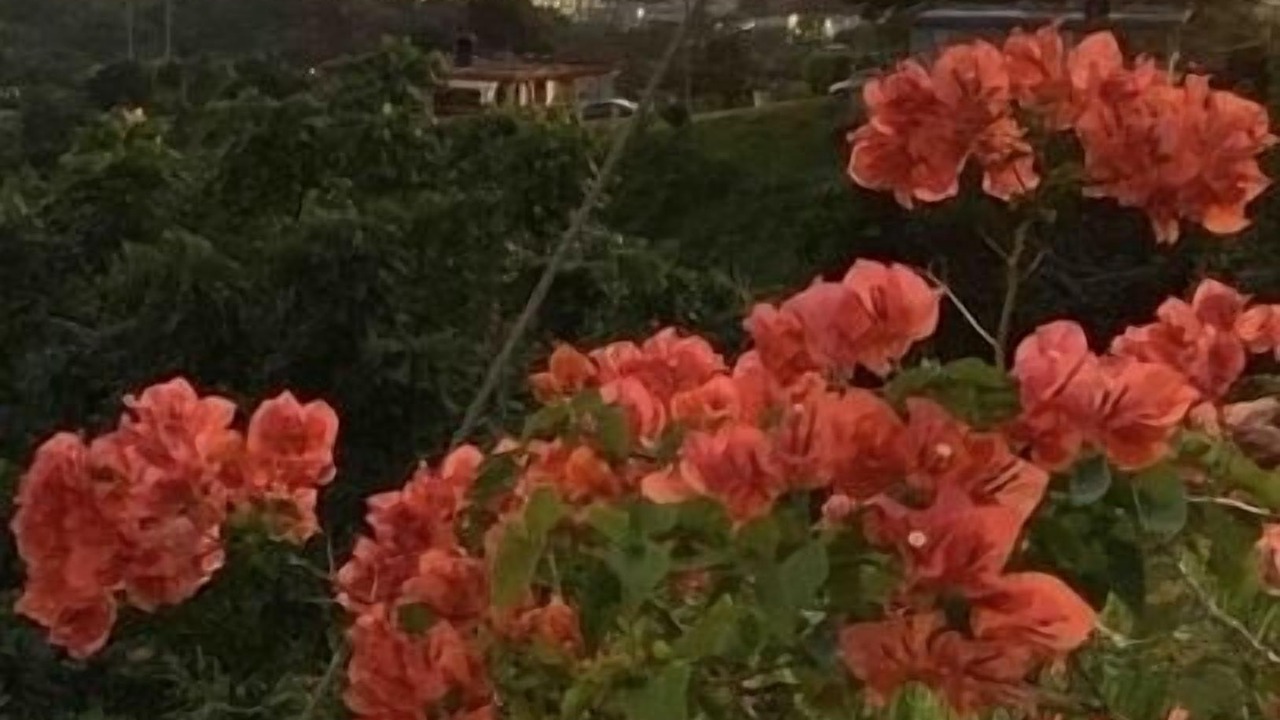 Photo of Others in Quebrada Larga