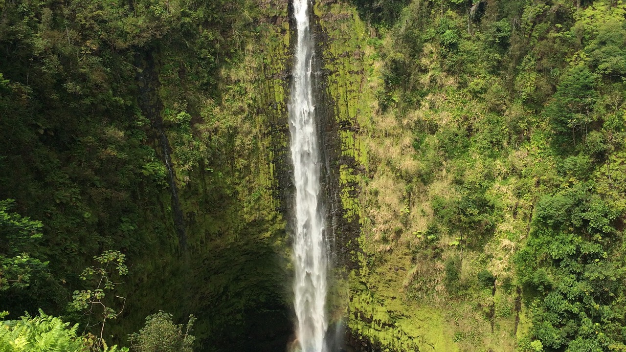 Photo of Others in Hakalau