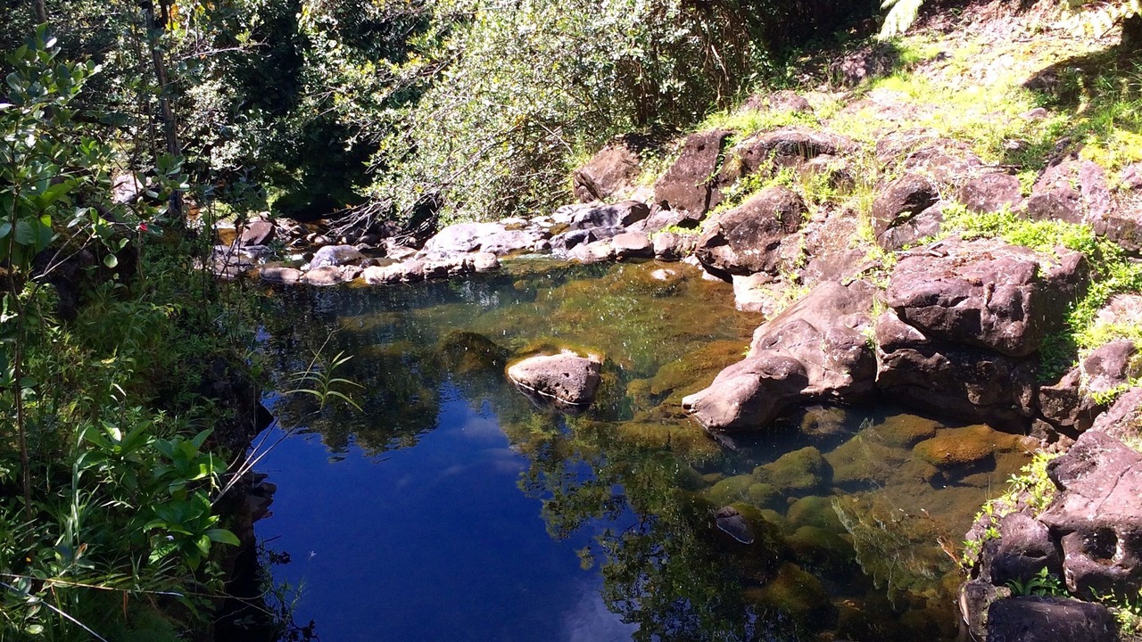 Photo of Outdoor in Hakalau