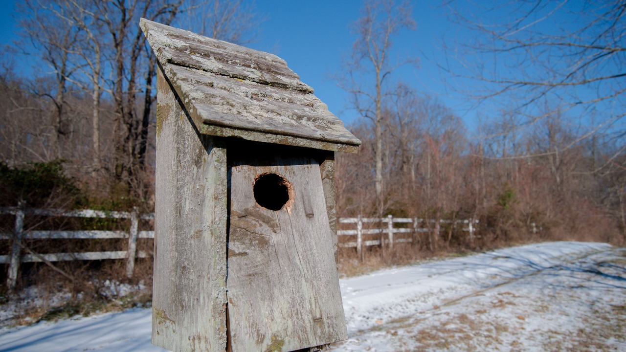Photo of Outdoor in Cobden