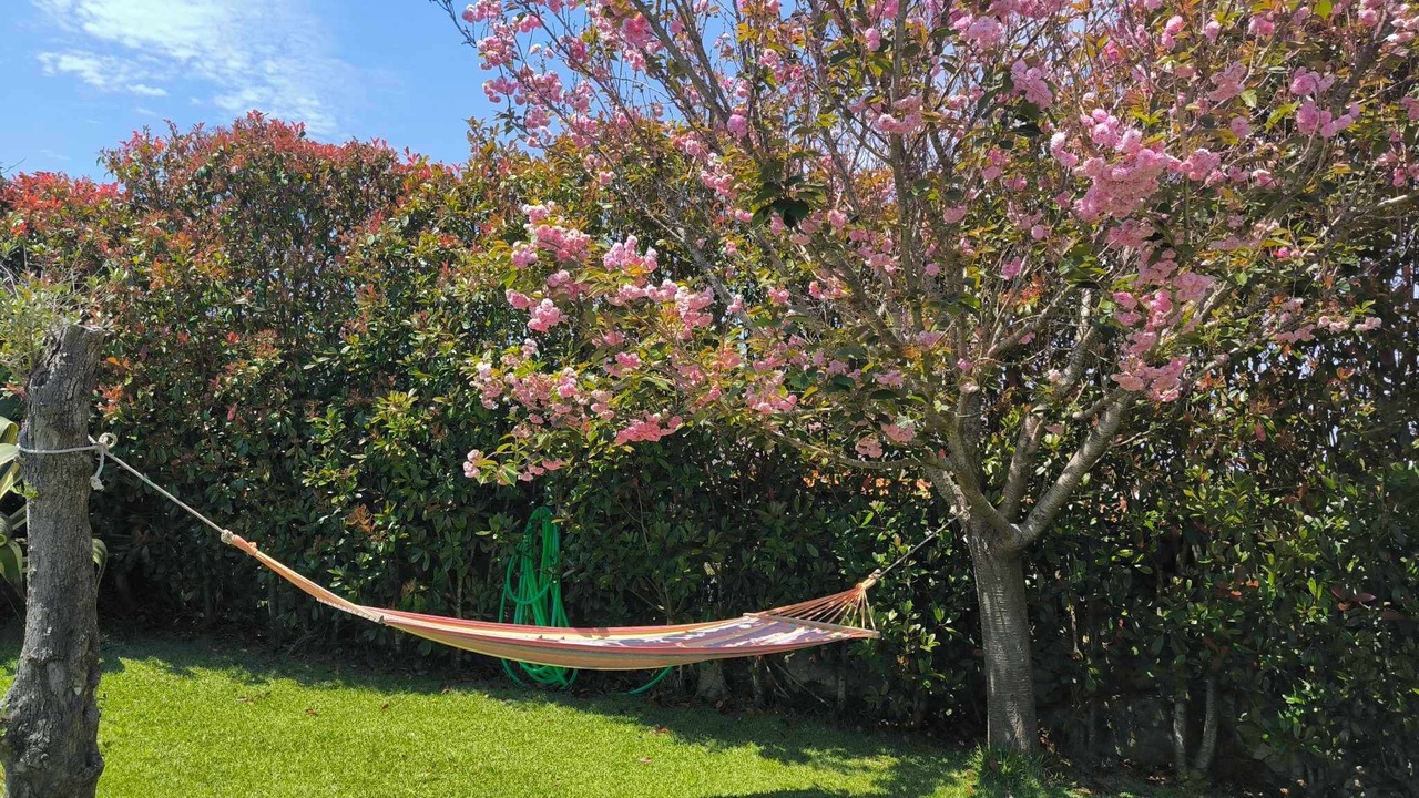 Photo of Outdoor in Ancora