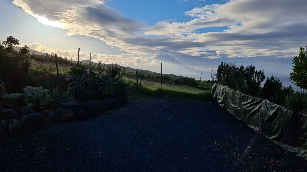 Photo of Outdoor in Horta