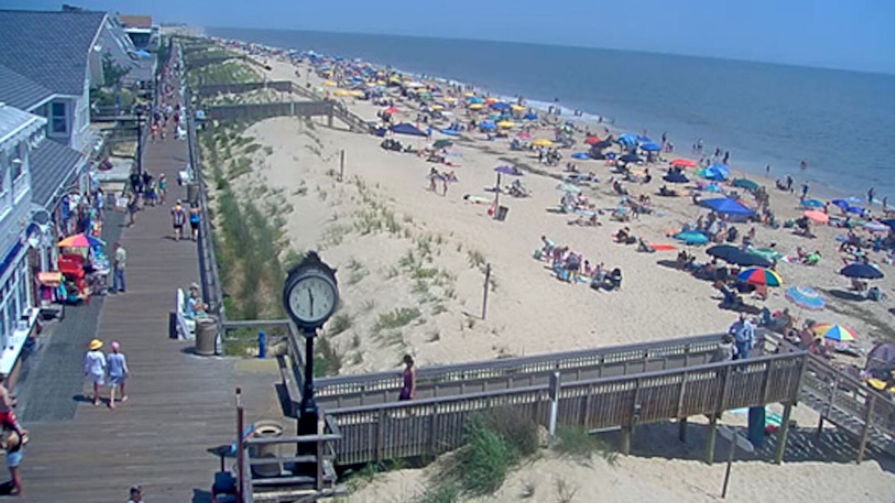 Photo of Others in Ocean View
