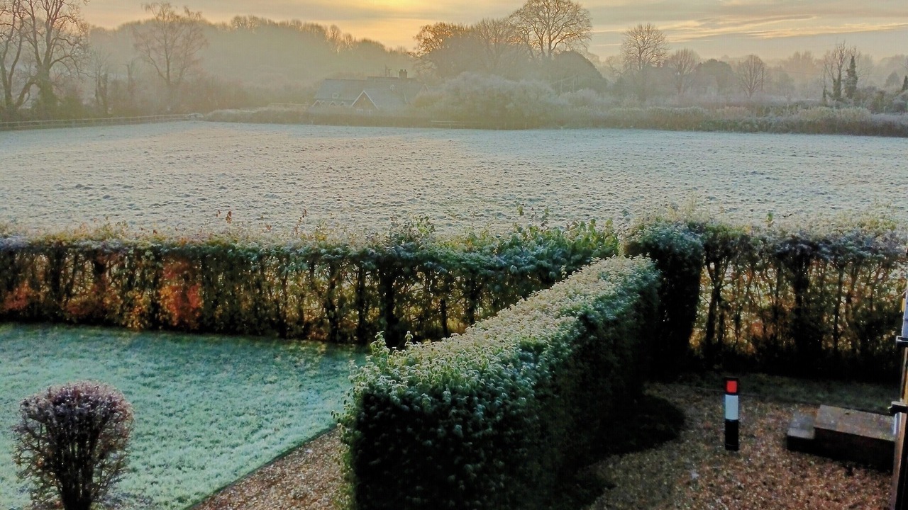 Photo of Outdoor in New Forest District