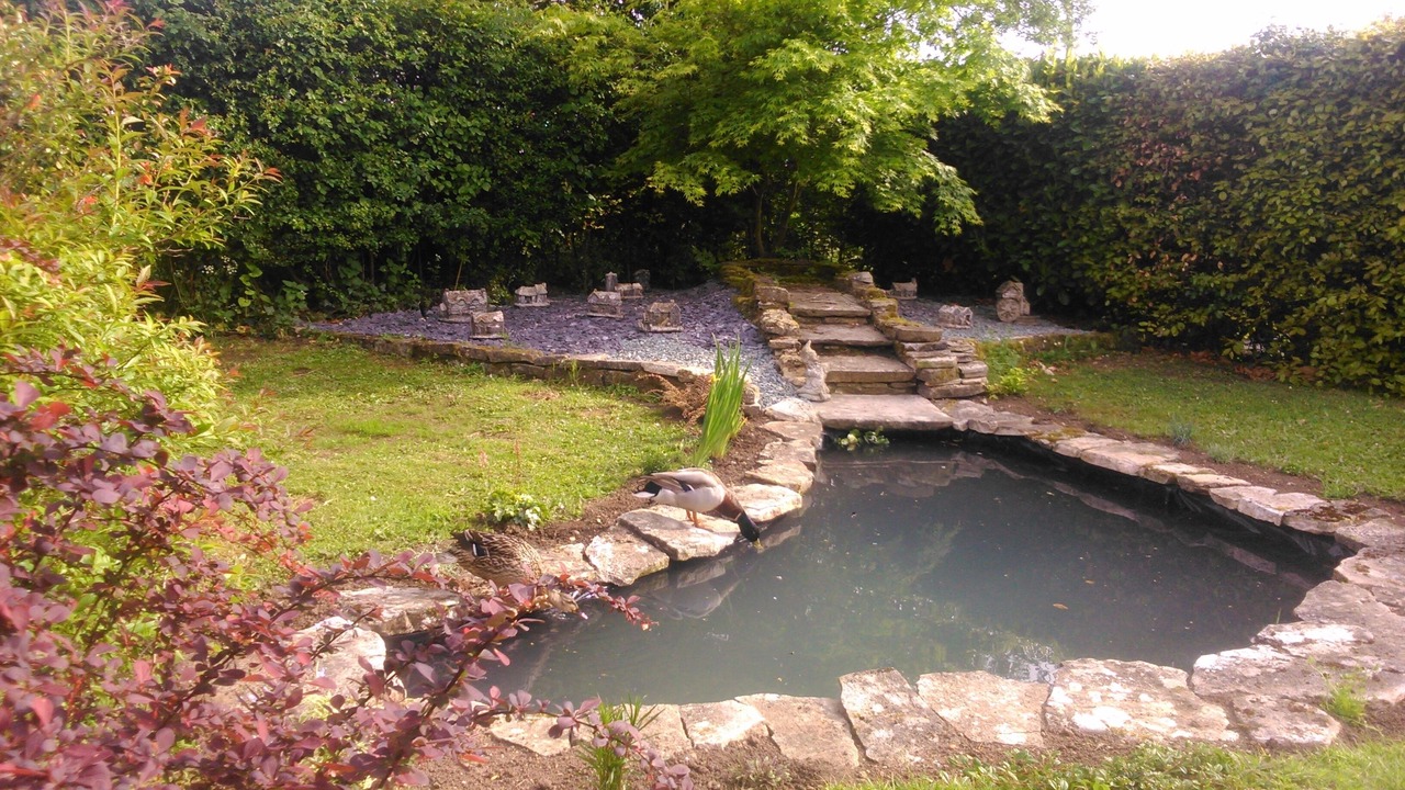 Photo of Others in New Forest District