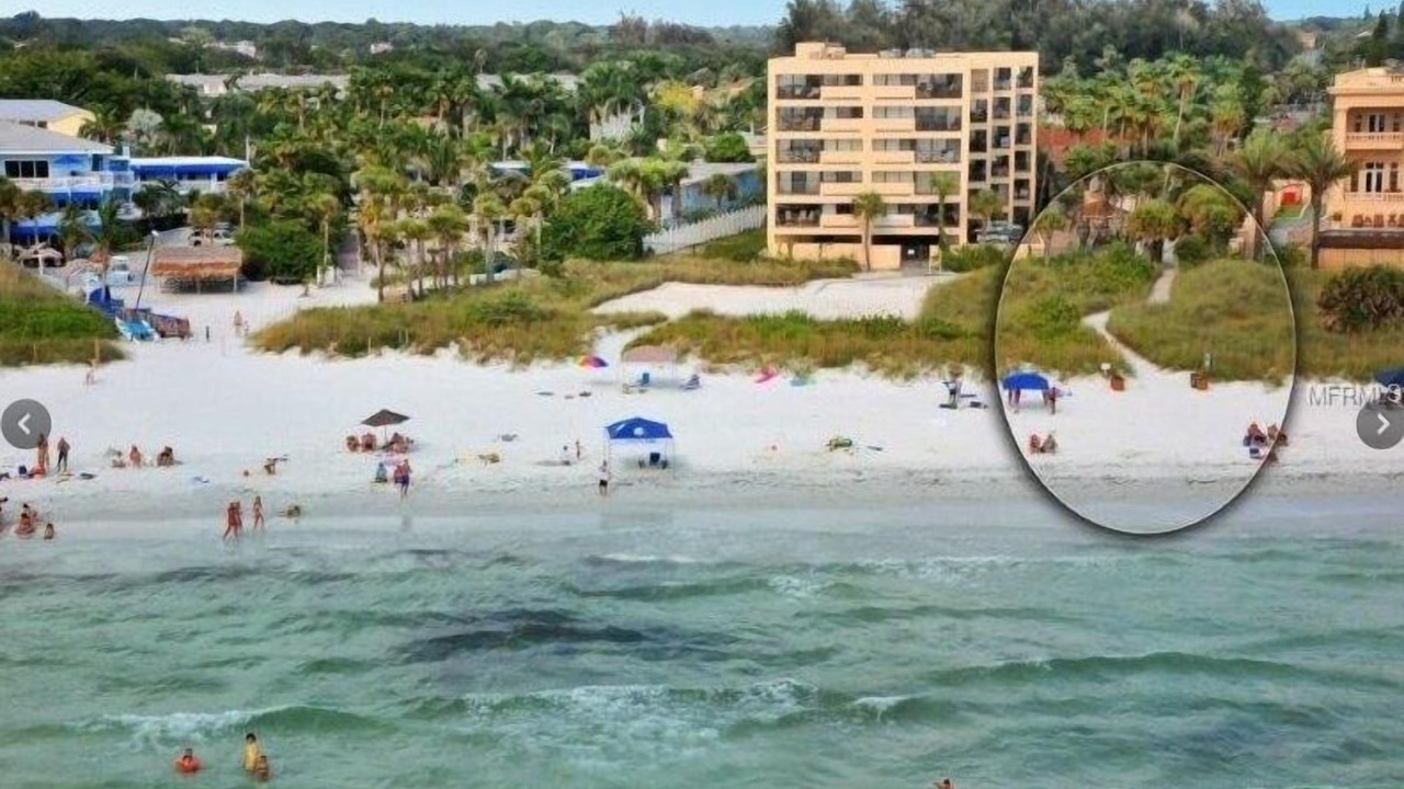 Photo of Others in Siesta Key