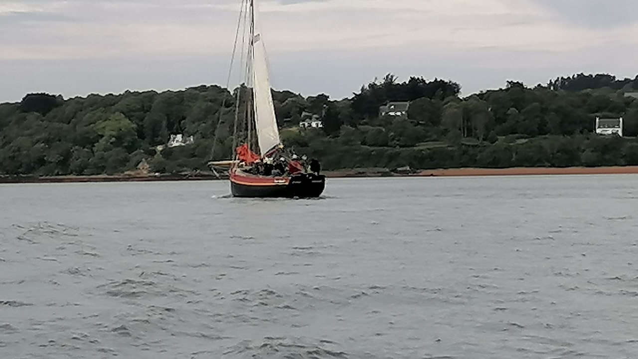 Photo of Others in Loguivy