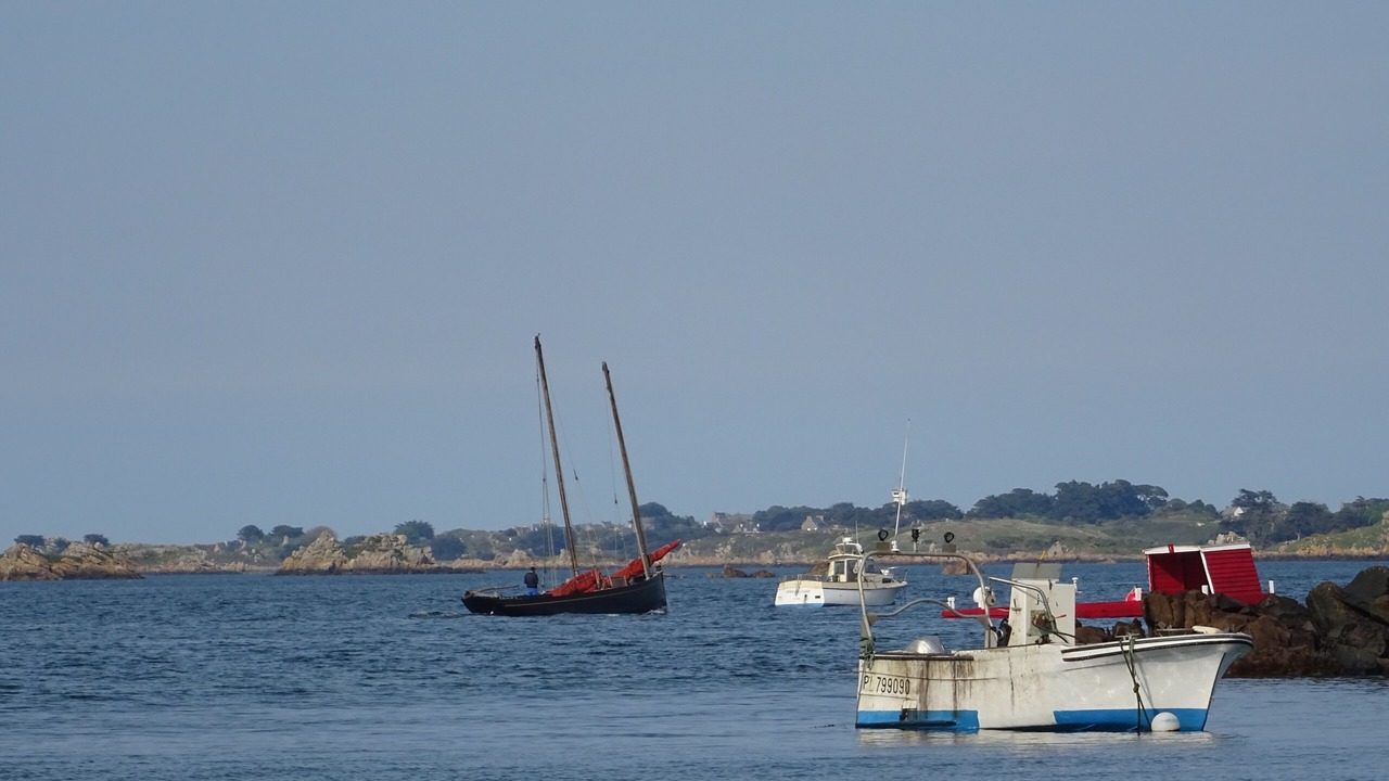 Photo of Others in Loguivy