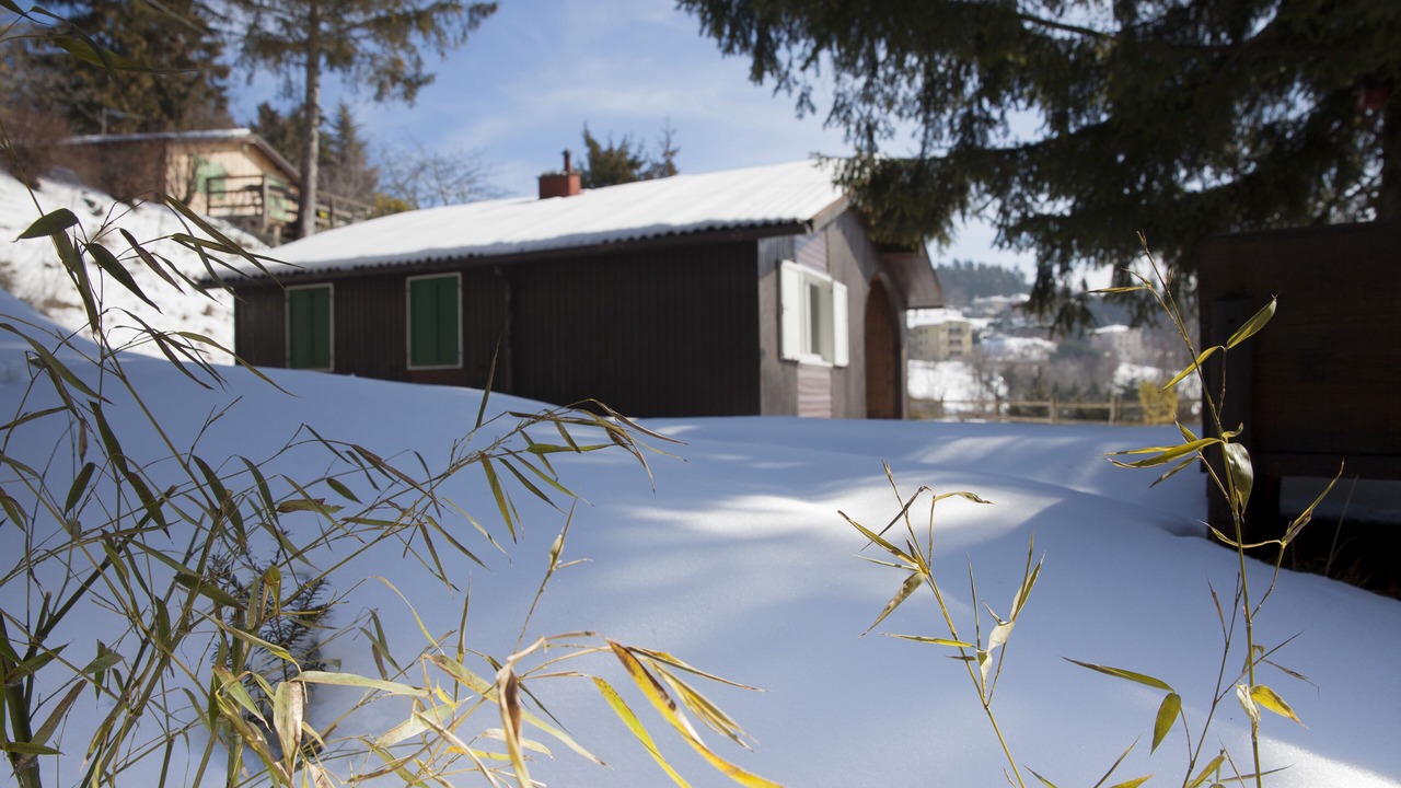 Photo of Outdoor in Spiazzi