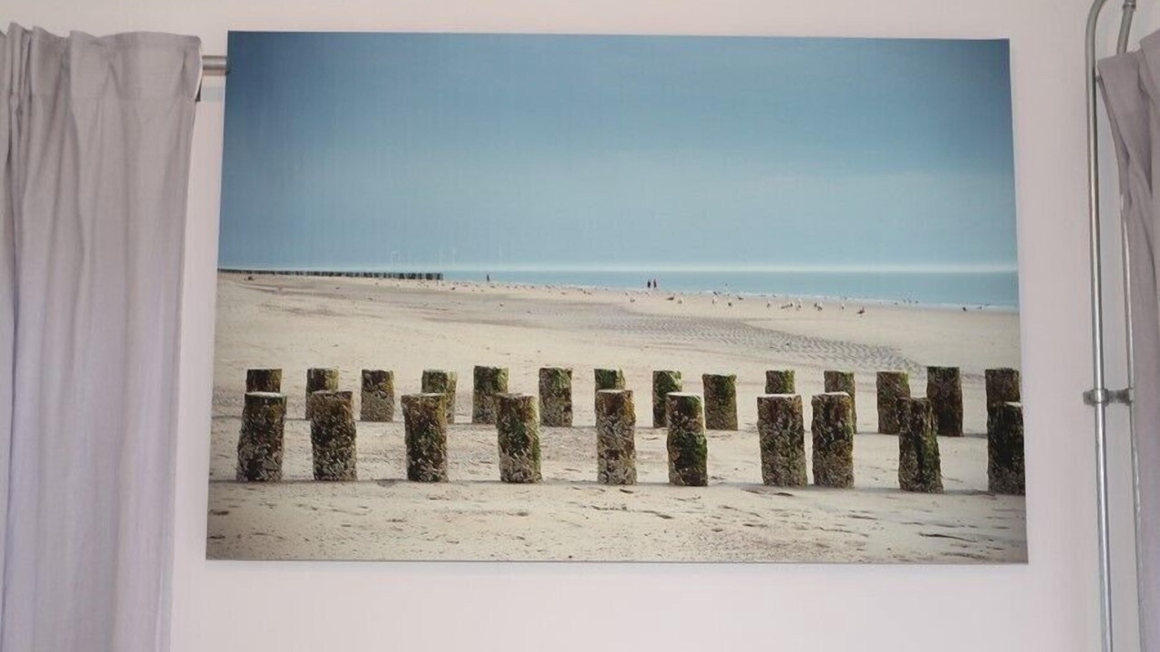 Photo of Others in Westenschouwen