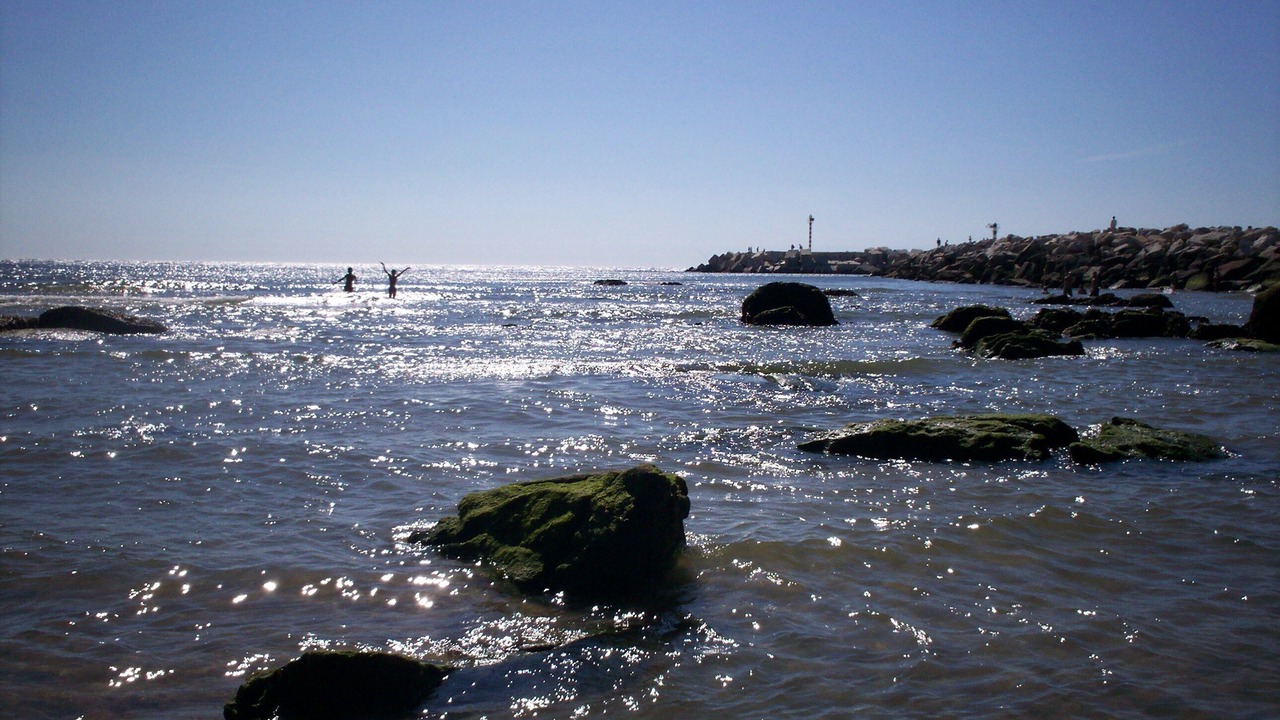 Photo of Others in Vila Praia de Ancora