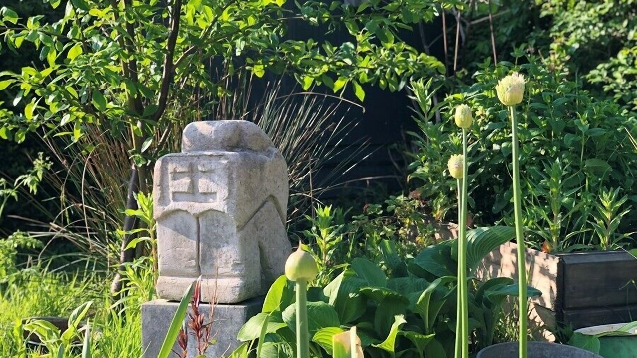 Photo of Outdoor in Westenschouwen