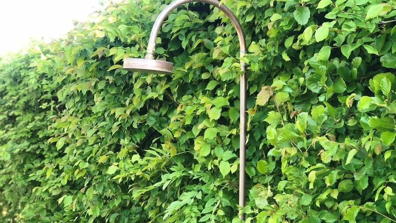 Photo of Outdoor in Westenschouwen