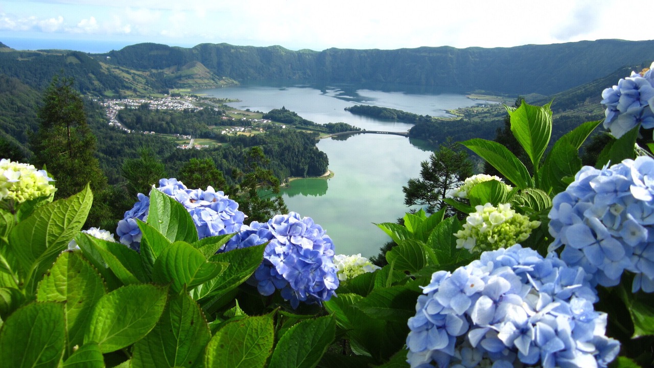 Photo of Outdoor in Ponta Delgada