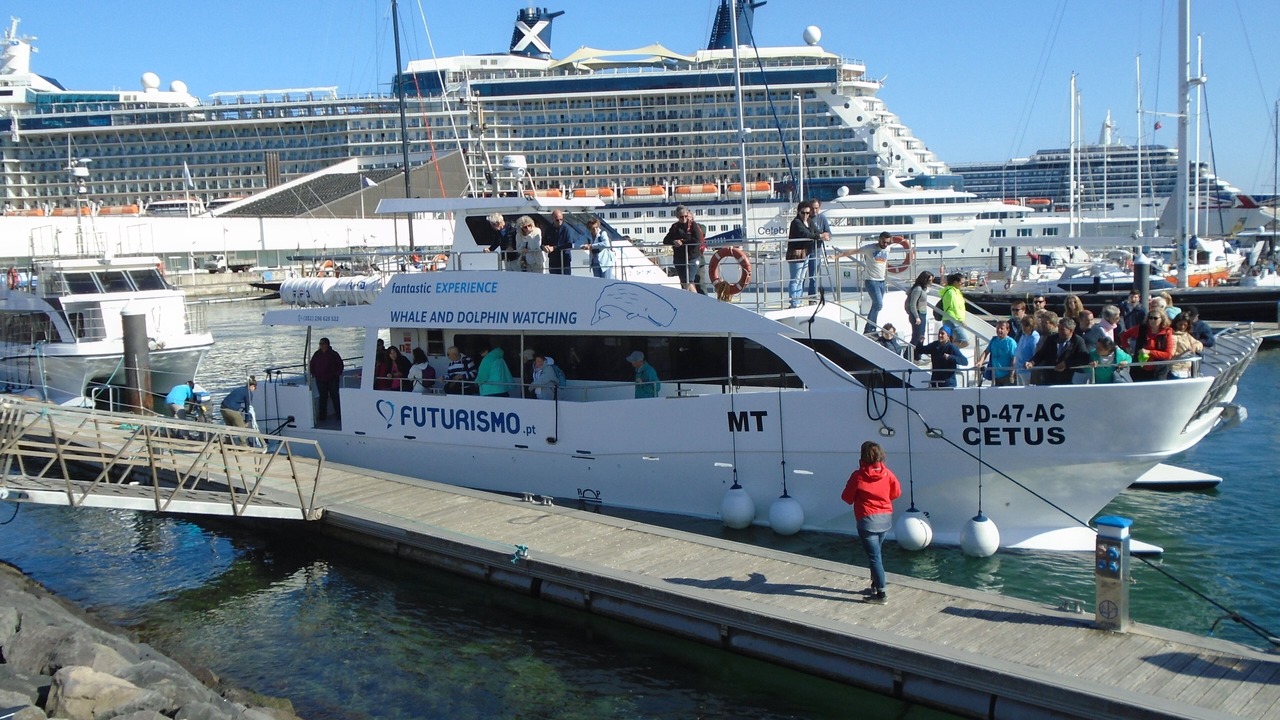 Photo of Others in Ponta Delgada