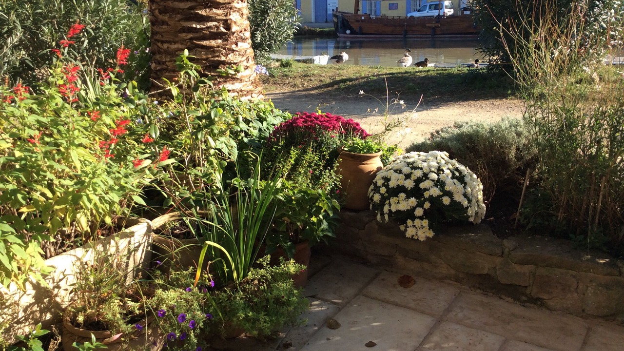 Photo of Outdoor in Le Somail