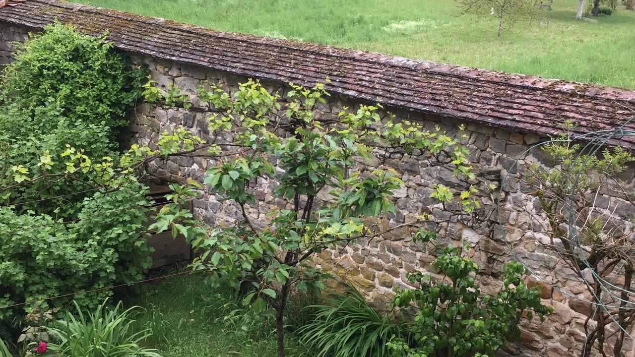 Photo of Outdoor in Noisy-sur-Ecole