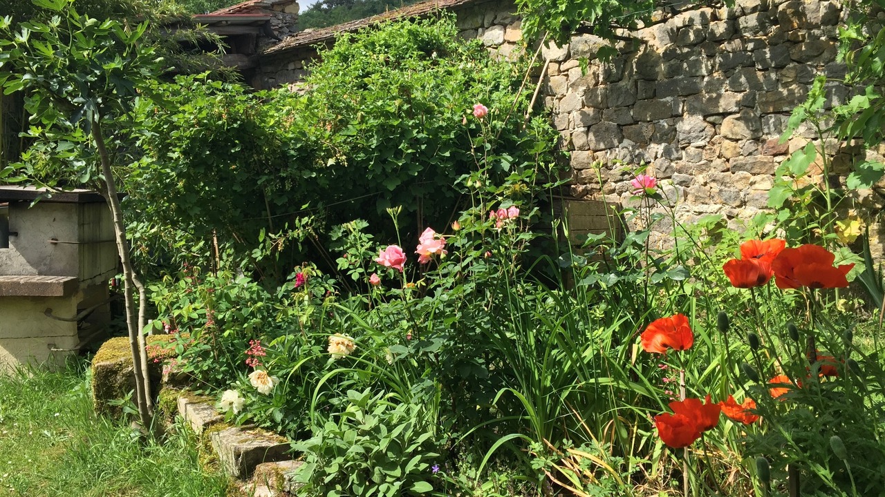 Photo of Outdoor in Noisy-sur-Ecole