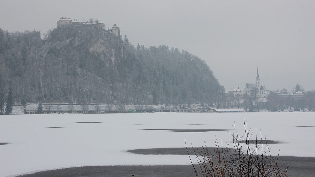 Photo of Others in Bled