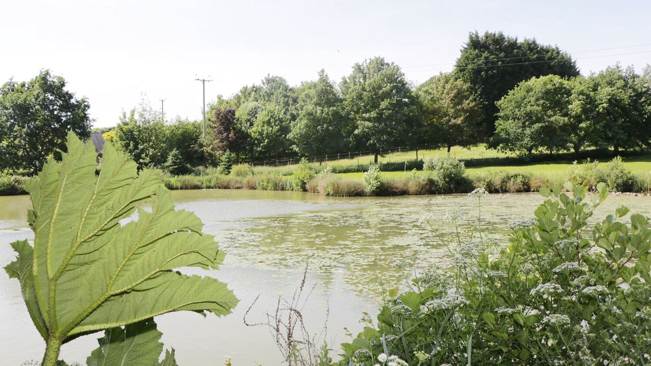 Photo of Outdoor in Corton