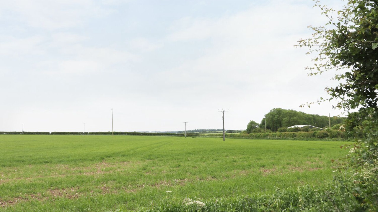 Photo of Others in Muston