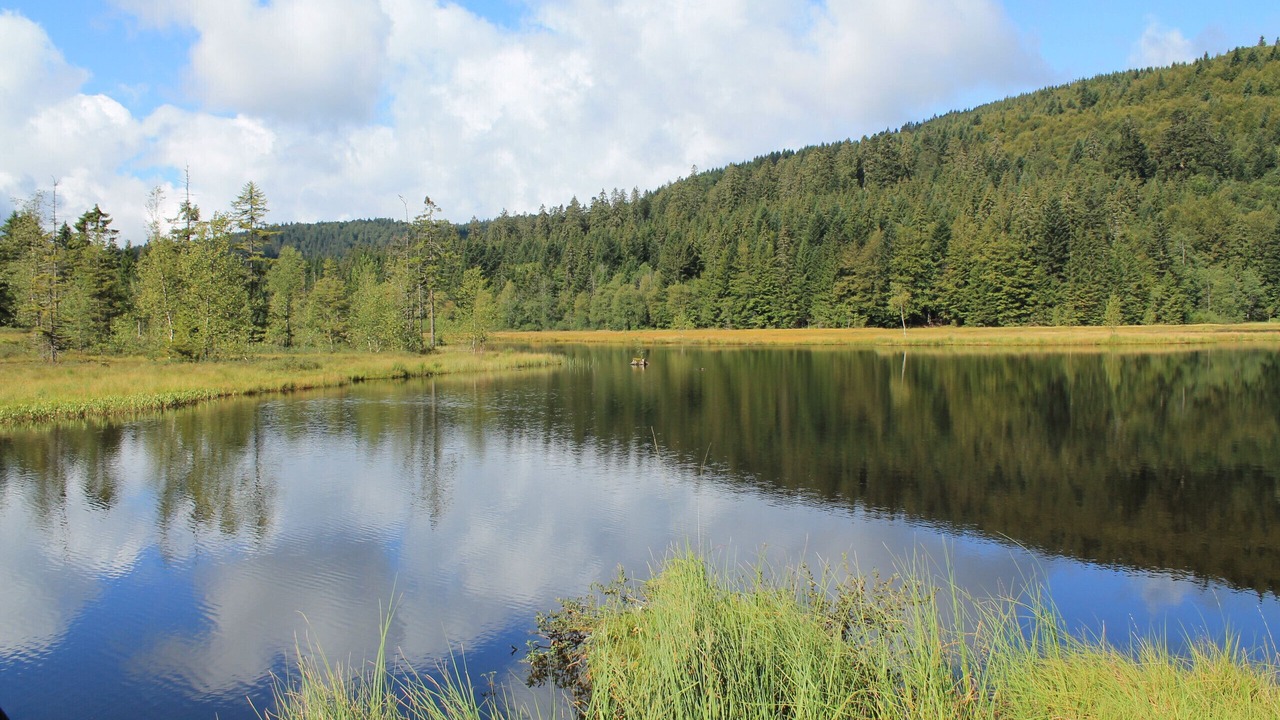 Photo of Others in La Bresse