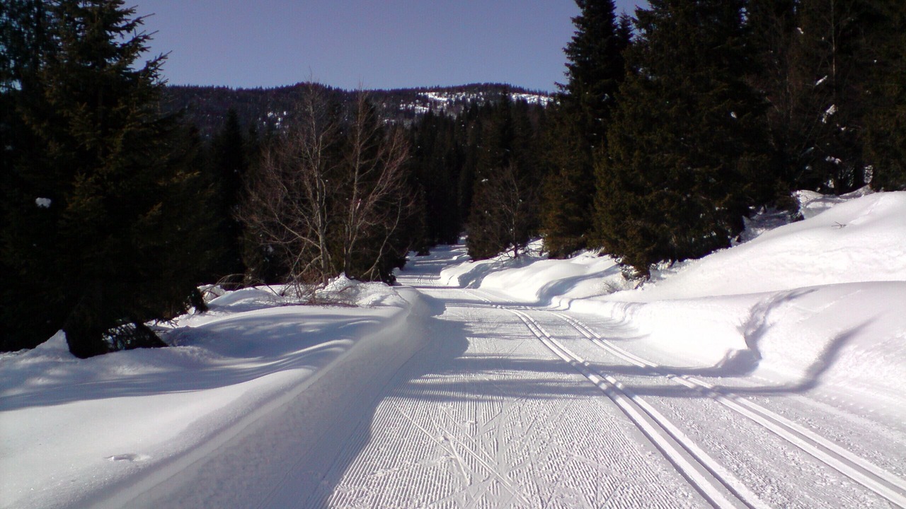 Photo of Others in La Bresse
