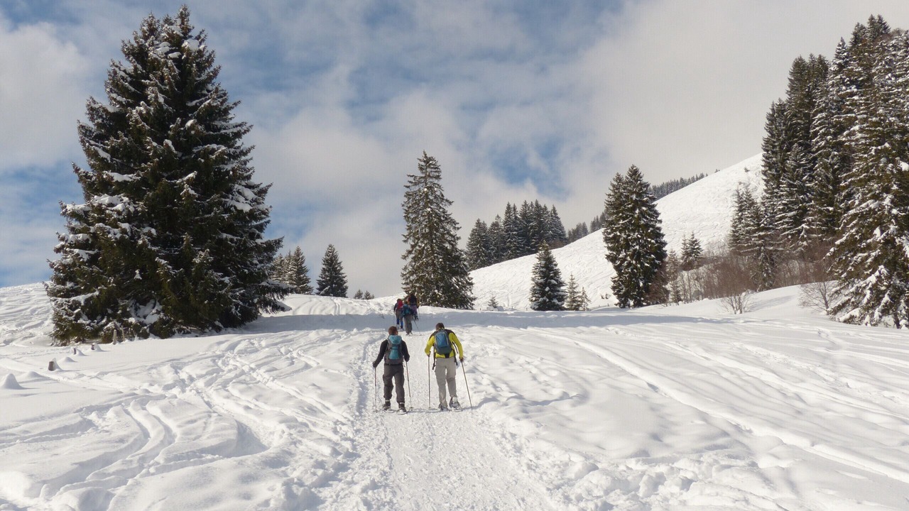 Photo of Others in La Bresse