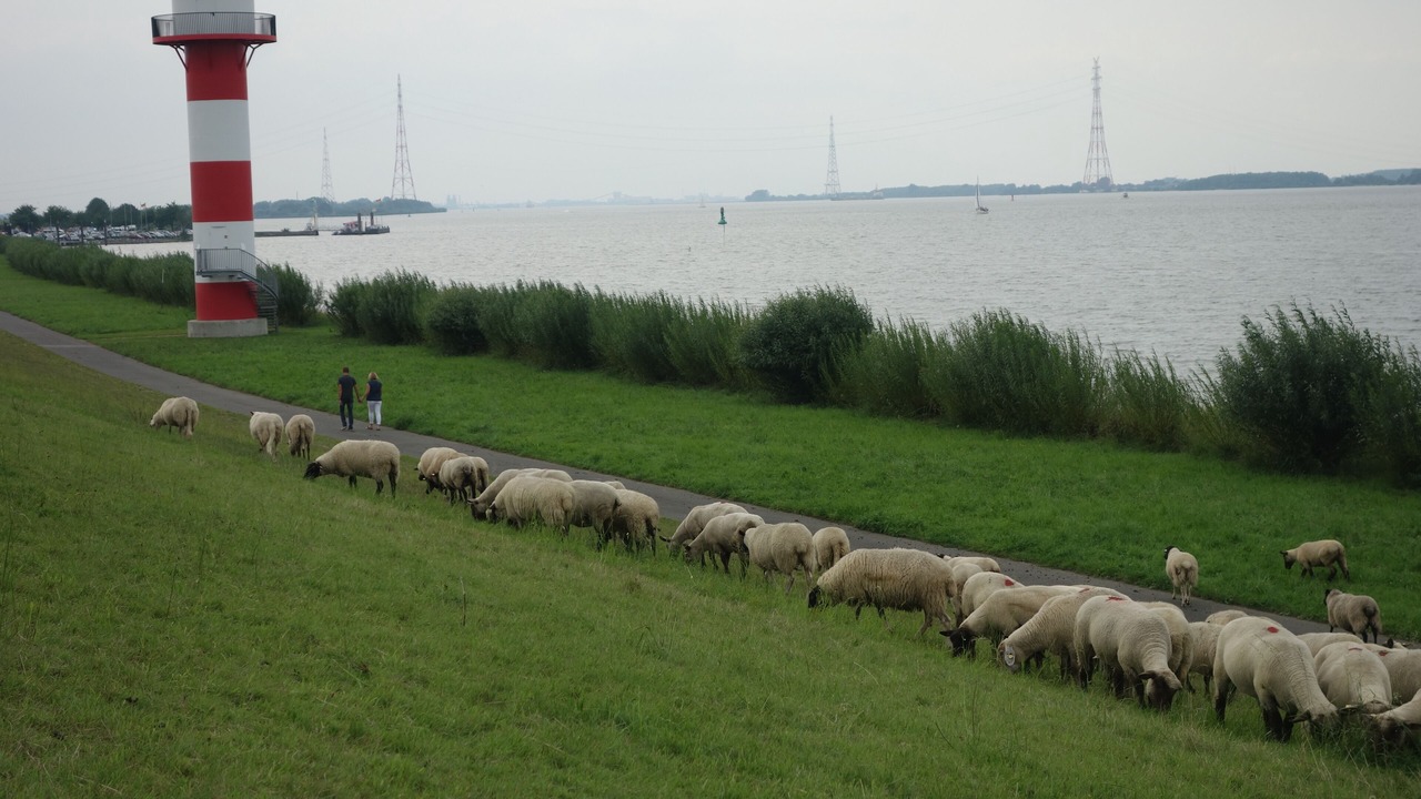 Photo of Outdoor in Jork