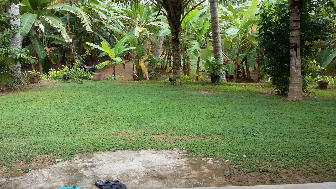 Photo of Outdoor in Matara