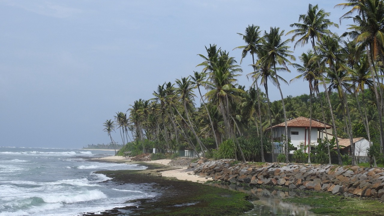 Photo of Others in Matara