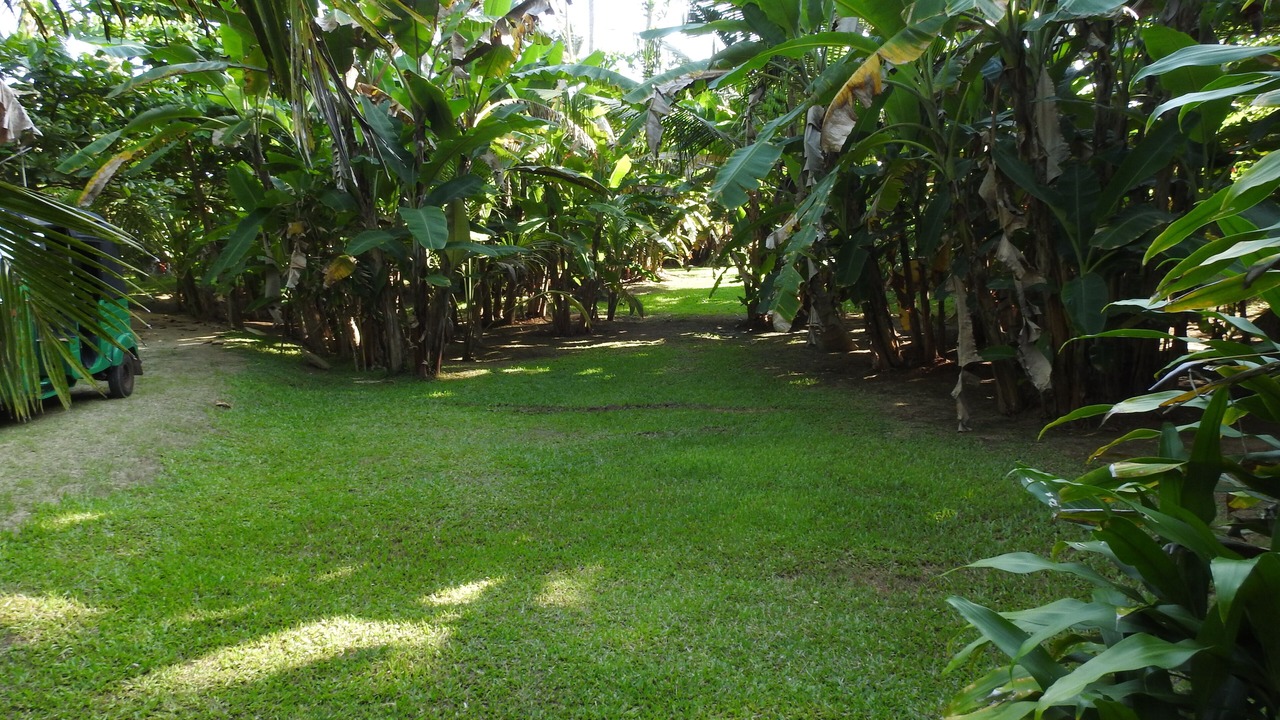 Photo of Outdoor in Matara