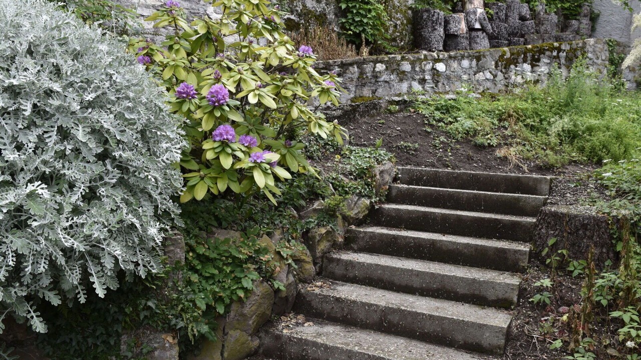 Photo of Outdoor in Montreux