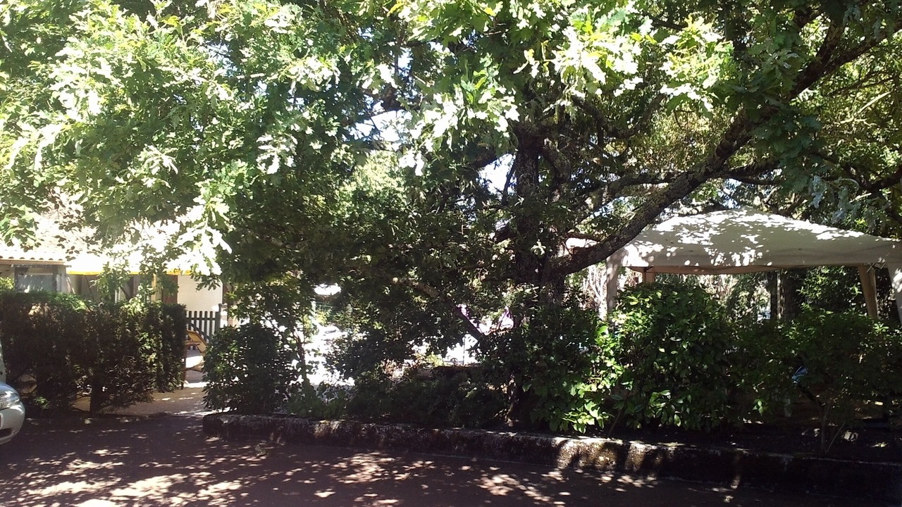 Photo of Outdoor in Saint-Aubin-de-Medoc