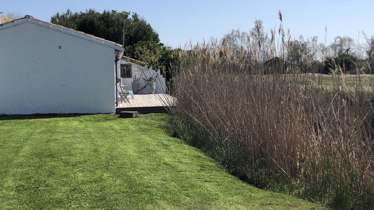 Photo of Outdoor in Saintes-Maries-de-la-Mer