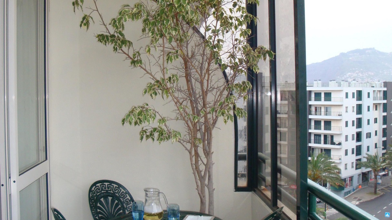 Photo of Patio Balcony in Sao Martinho