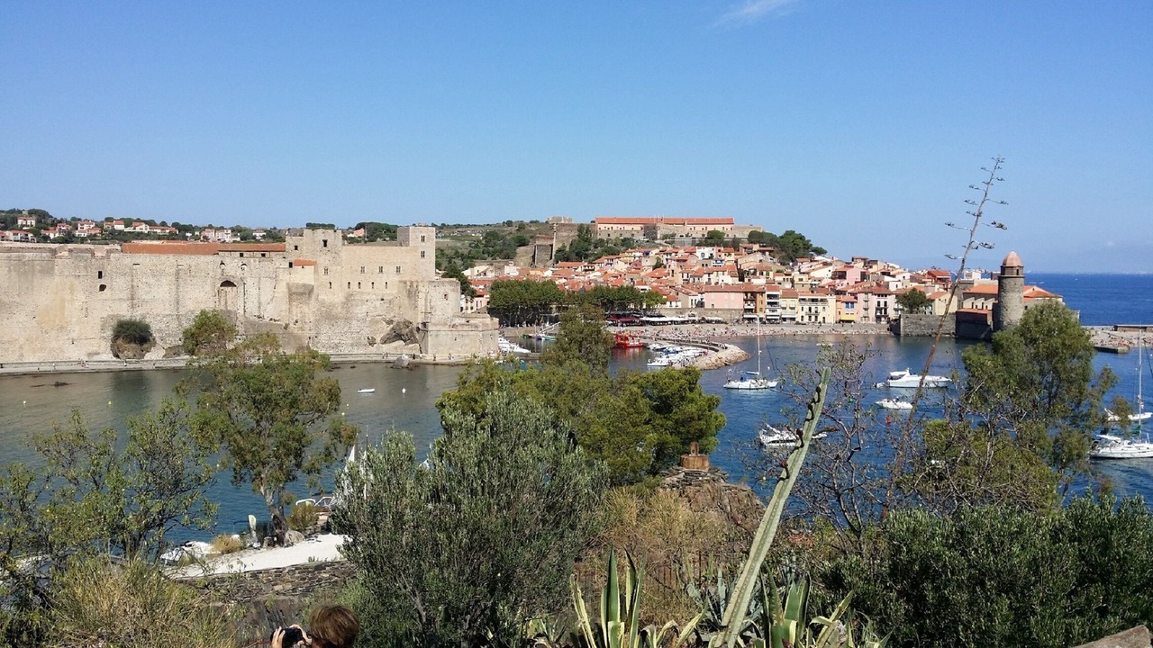 Photo of Others in Collioure