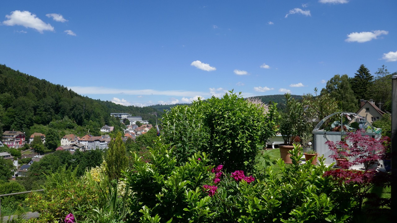 Photo of Outdoor in Bad Herrenalb