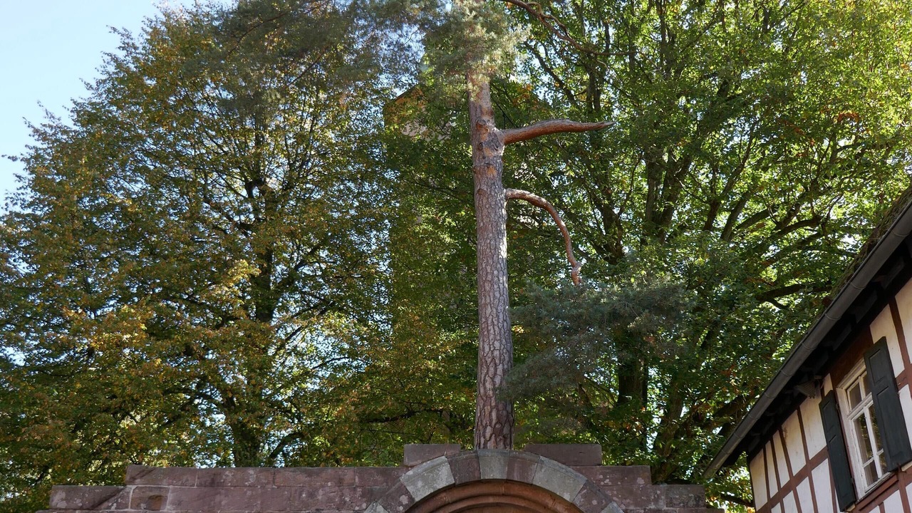 Photo of Outdoor in Bad Herrenalb
